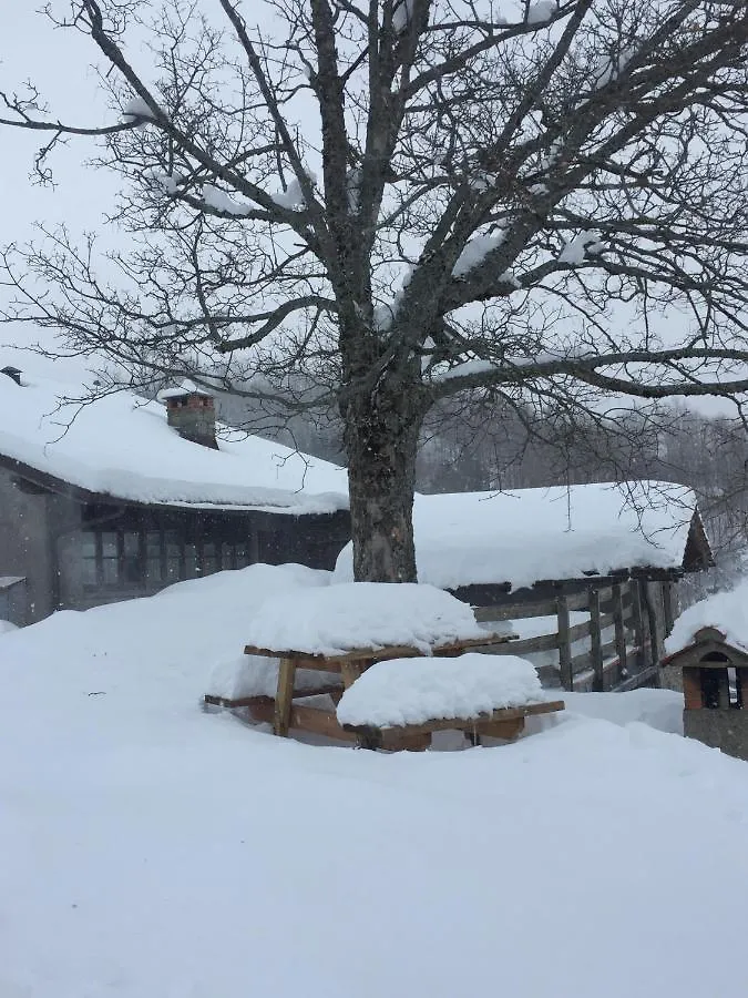 Agriturismo Sperandini San Marcello Pistoiese Italia