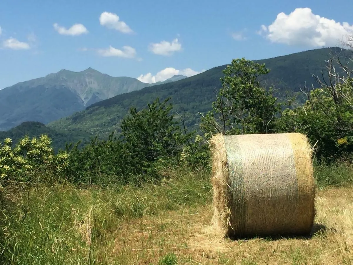 Agriturismo Sperandini San Marcello Pistoiese